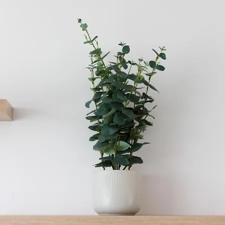 Mokotow Malawskiego By Renters *