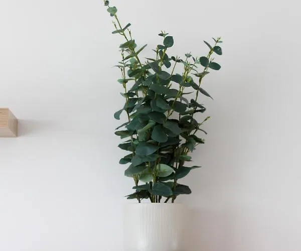 Mokotow Malawskiego By Renters *